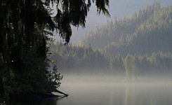 1796888_10155245037145035_7052933672085998943_o