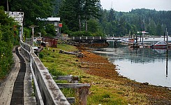 Coal_harbour